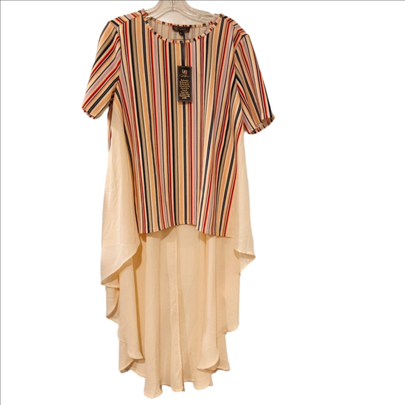 DG2 by Diane Gilman Tops - DG2 By Diane Gilman Dramatic Hi-Low Crepe Colorblock Top CREAM L